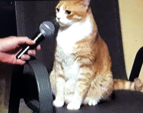 Witness being interviewed about Larry sightings