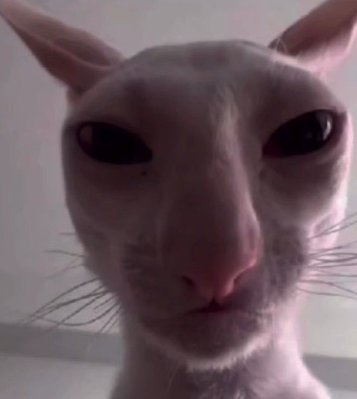 James — notorious drug kingpin