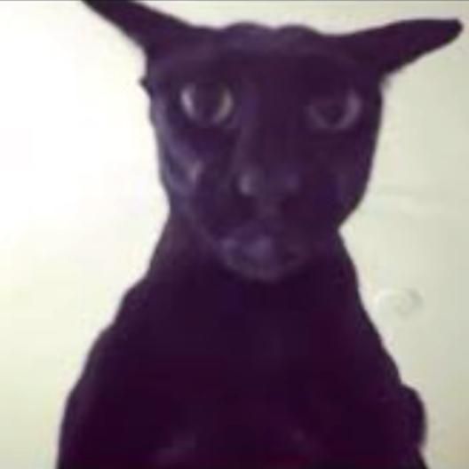 Escaped Inmate Larry